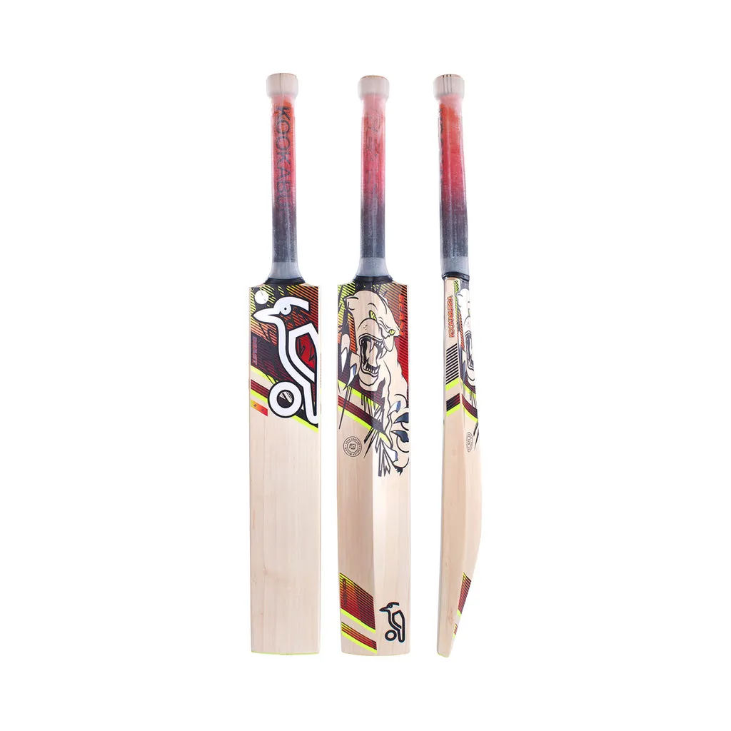 Beast 6.2 Cricket Bat