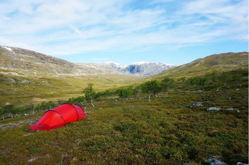 Hilleberg Anjan 2 GT Tent - Green