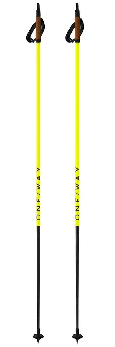 Nordic Ski Pole One Way ---Storm 2
