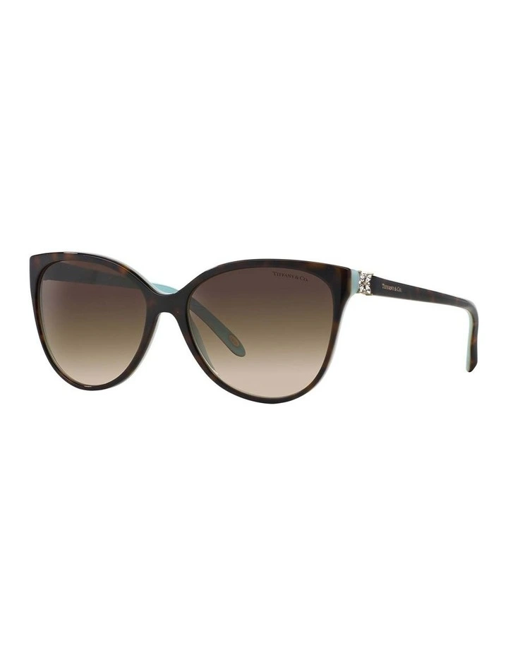 TF4089B Brown Sunglasses