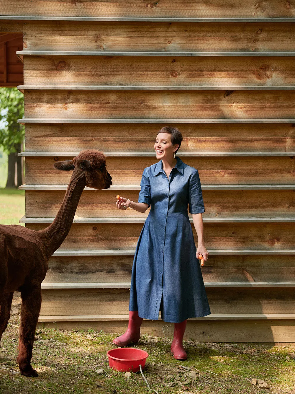The Ellie Dress