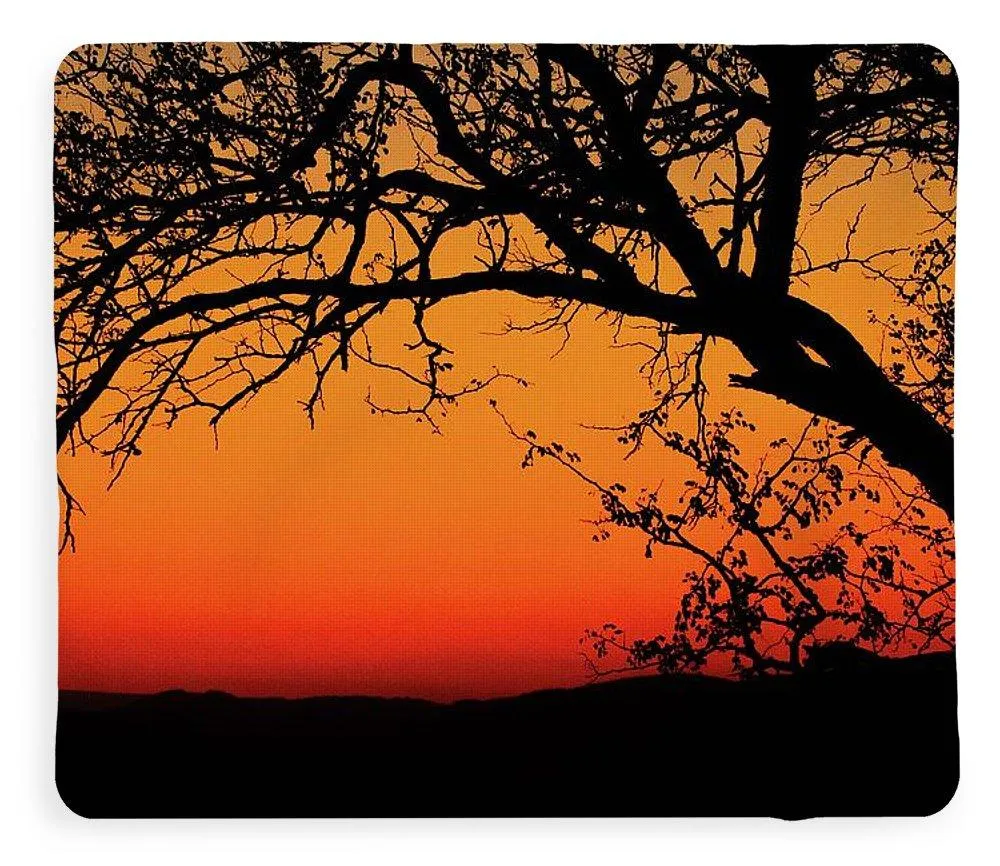 Tree Silhouette - Blanket